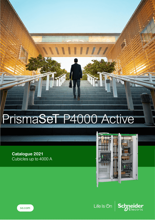 Podgląd Katalog obudów PrismaSeT P4000 Active